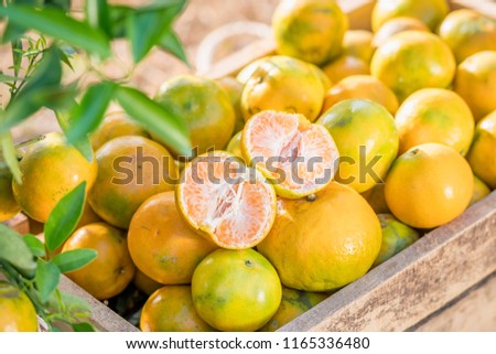 farm fresh orange fruit in box, Healthy lifestyle concept.