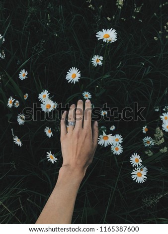 Photo of a female hand against a background of nature. Open palm. View from above. Vertical shot