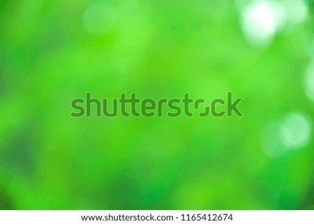 Bokeo green background