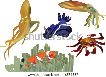 illustration with sea animals collection isolated on white background