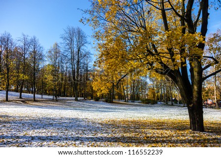 Multicolored Autumn landscape with golden leaves in the Latvian countryside Royalty-Free Stock Photo #116552239