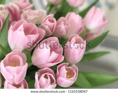 Tulips and Rose in Vase