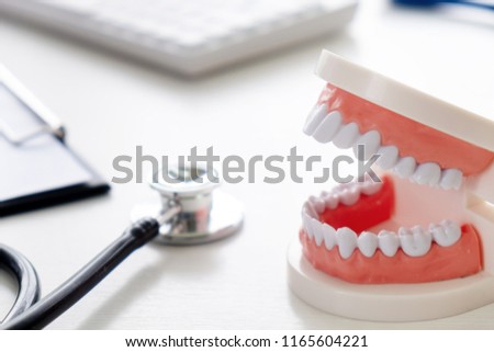dentist concept, teeth model in dental office