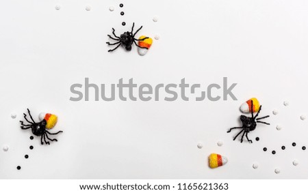 Halloween spiders overhead view on a solid color