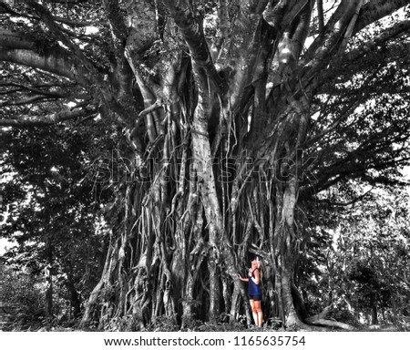 Small female standing beneath a large fig tree black and white with a splash of color
