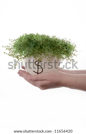 growing money on the pot with holding hands