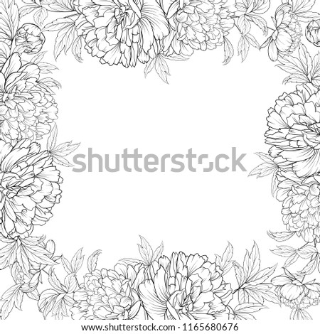 Frame of Peony isolated on white. Spring flowers bouquet of peonies garland. Vector illustration.