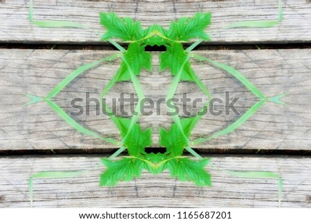 grass geometry figure reflection shapes symbol logo on wooden boards. ecology, health, green energy concept. for designer, cover, web header page templates.