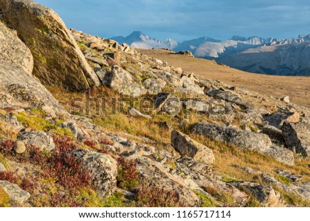 Alpine tundra on the Ute Crossing Trail looking South toward Longs Peak and the Continental Divide off Trail Ridge Road in Rocky Mountain National Park, Colorado. Royalty-Free Stock Photo #1165717114