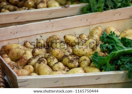 Wooden Crate full of Soil covered Baby New Potatoes on Sale in Borough Market, Southwark, London UK