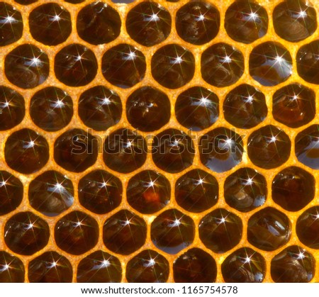 Warm colors, concave mirrors of the surface of honey in honeycombs and the rays of evening light reflected from them create a beautiful picture.