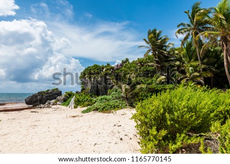 Seascape with tropical vegetation in Tulum National Park along the Riviera Maya (Yucatan, Mexico).