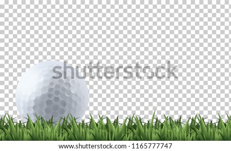 Golf ball on grass  illustration