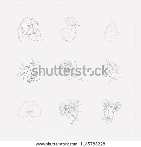 Set of nature icons line style symbols with rose, mallow, clove and other icons for your web mobile app logo design.