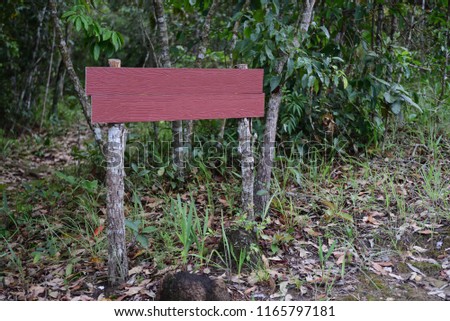 Brown blank label, sign in Forest ,sign in Thailand