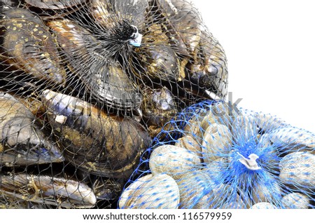 mussels and clams in two net bags