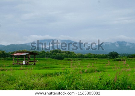 A rice field with beautiful scenery in the North of Thailand.  The grasses are green. The sky is blue. The mountain reaches the white clouds. A place to relax your mind and soul. 