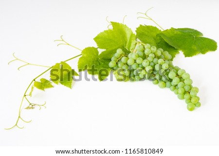 Bunch of fresh picked champagne grapes, and a grape vine and leaves, on a white background
 Royalty-Free Stock Photo #1165810849