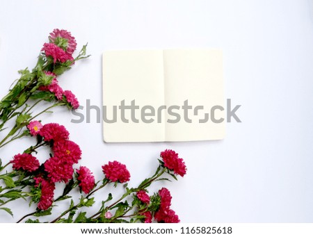 Flat lay photo with pink red aster flower and white empty paper notebook. Floral arrangement on white background.  Top view. Picture for blog, wedding.