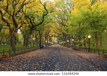 Central Park. Image of  The Mall area in Central Park, New York City, USA at autumn. Royalty-Free Stock Photo #116584246