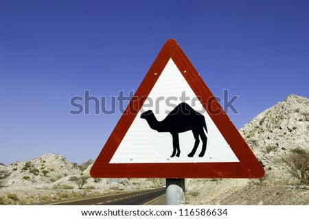 A triangular road warning sign with camel in Dubai, United Arab Emirates