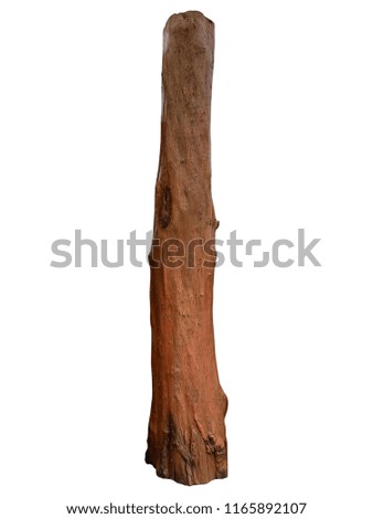 Isolated old wood . Wooden vintage.  from Teak wood. this is timber . Dead tree