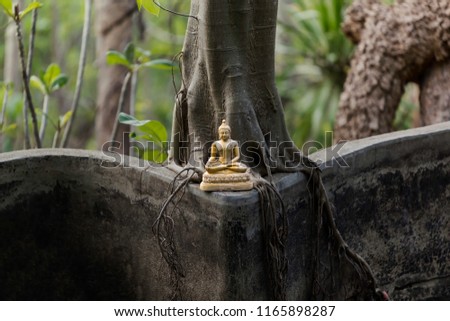 In the temple are old pale yellow Buddha. It was placed under the tree and there was a well in front.