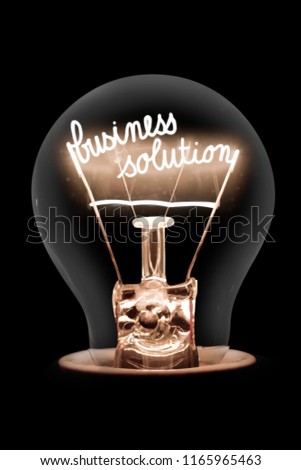 Photo of light bulb with shining fiber in BUSINESS SOLUTION shape isolated on black background