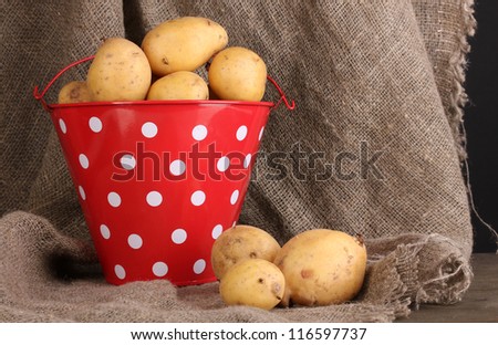 Ripe potatoes in red pail on sacking