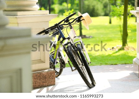 Modern bicycles in park on sunny day