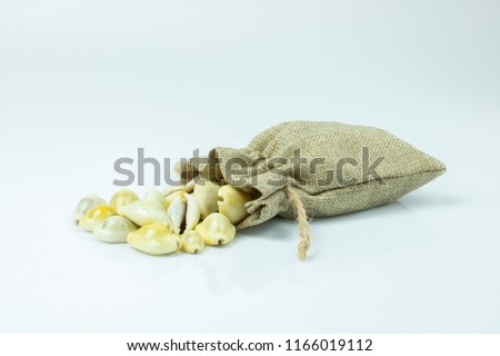 Money cowry in a sack on white background Royalty-Free Stock Photo #1166019112