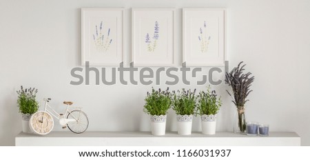 Real photo of three simple posters hanging on wall above shelf with bike shaped clock, fresh lavender and candles