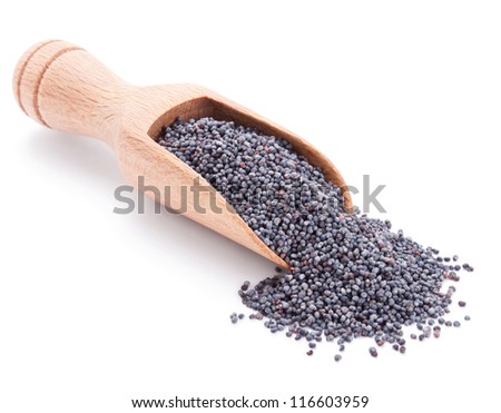 wooden scoop with poppy seeds isolated on white background