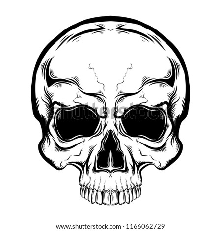 Human skull, line art, tattoo sketch on a white background. Print, illustration