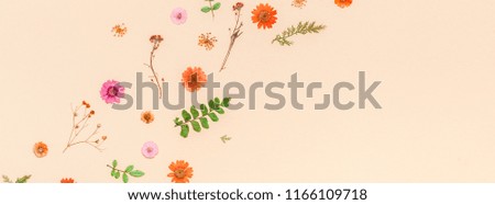 Creative Top view flat lay autumn composition. Dried flowers and leaves on color paper background with copy space. Template for fall harvest wedding anniversary invitation cards Long wide banner