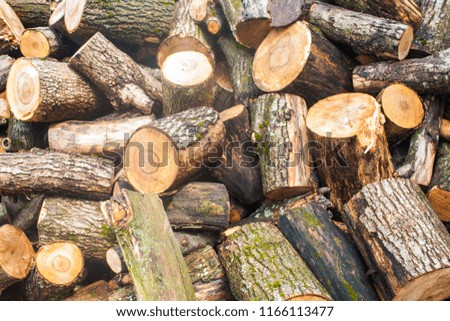Woodpile of chopped lumber. Pile of wood logs. Stacked firewood timber.
