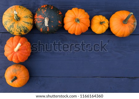 Pumpkins and squashes varieties on dark wooden background. Food border