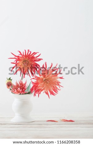 dahlia flowers in white vase on wooden table