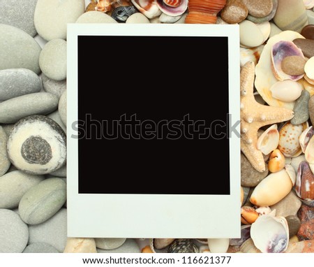 vintage photo Sea shell stones background