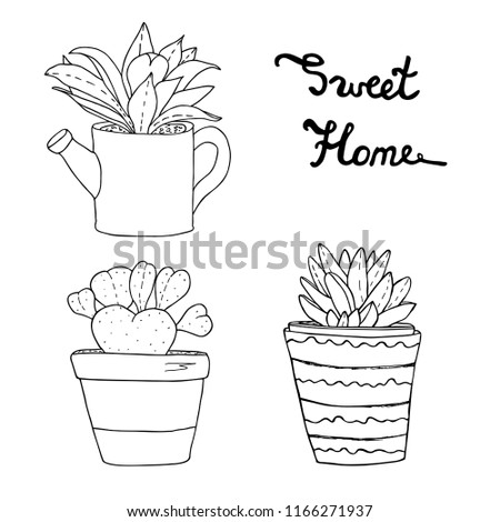  Succulents, cactuses, plants in flower pots.  Various house flowers vector collection. Hand drawn sweet home sketch. Coloring book page