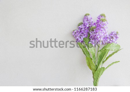 Sweet and pastel color  flower ,Soft and blurry focus photo in vintage style