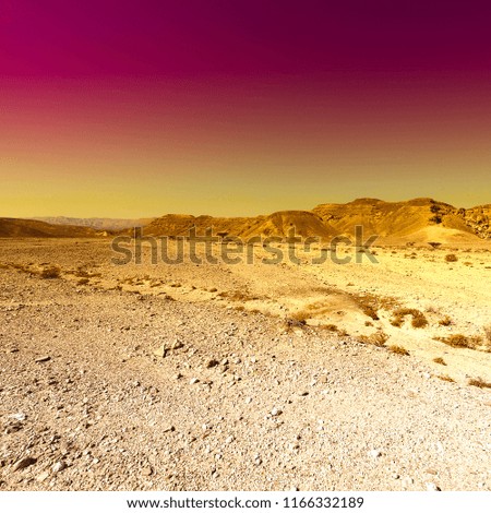 Raging colors of the rocky hills of the Negev Desert in Israel. Breathtaking landscape and nature of the Middle East at sunset