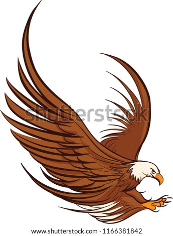 hand drawn vector american bald eagle