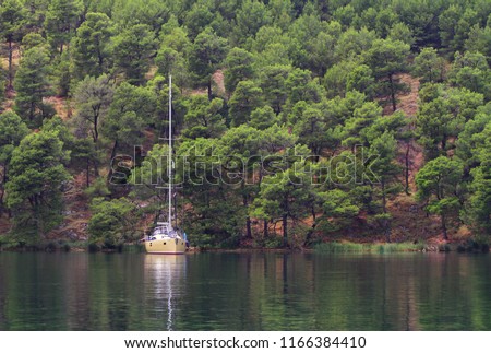 Modern saiboat yacht anchored in green sea water infront of a pine tree forest
