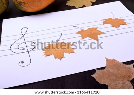 Little dry maple leaves on music staff. Autumn composition