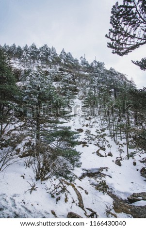 Mountain snow in Yunnan 