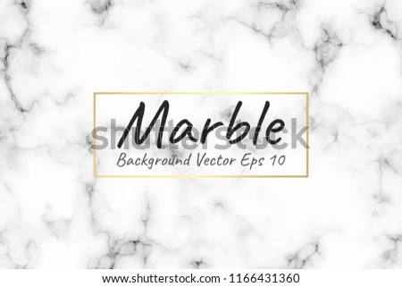 Vector illustration - Abstract grey and white marble texture used for background, Template mock up for display of product, layout and presentation business backdrop.