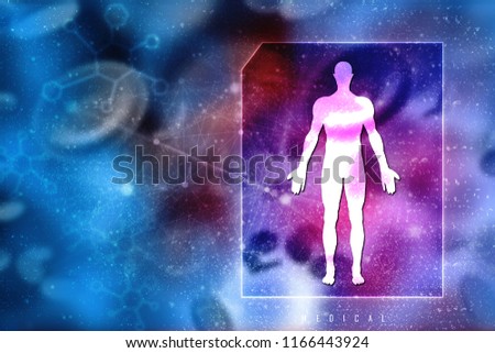 2d illustration Human Male Muscle Body
