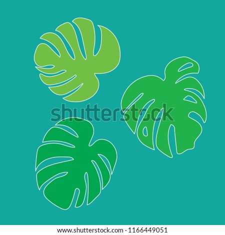 palm tree leaves, Monstera tropical plant- vector illustration