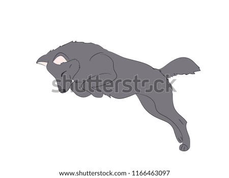 wolf runs, image color, vector, white background